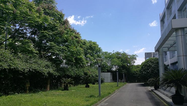 公司正面