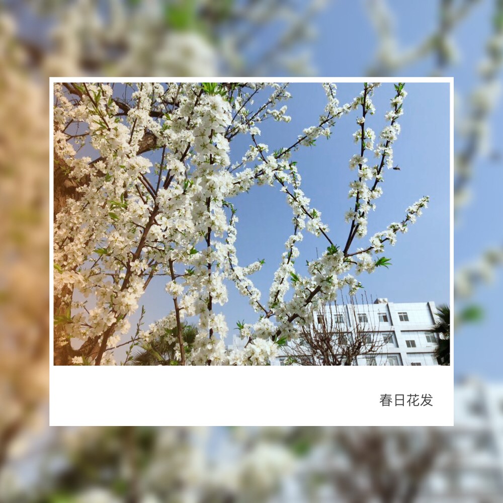 春1