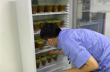 防暑降溫綠豆湯 關(guān)愛(ài)員工送清涼
